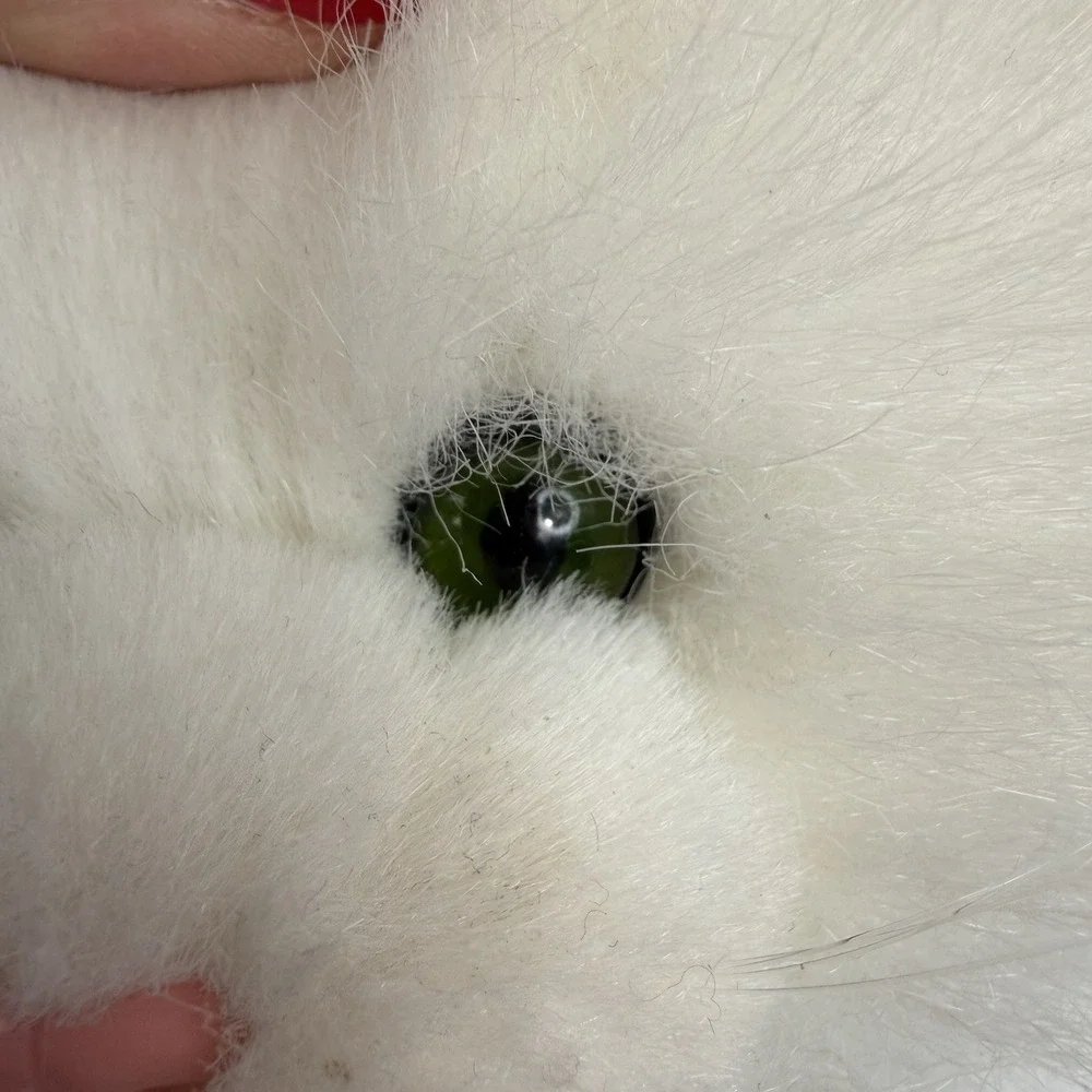 Vtg‎ Persian Green Eye Kitty Cat White Plush Fluffy Stuffed Russ Berrie Nikki